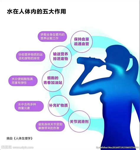 水的功用|水的生理功用是什么？